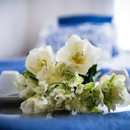 Gianicolo Pleasure&stay * Roma